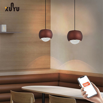 XUNYU โคมไฟแขวน LED 8W 6000K Sphere Pendant Light Fixtures